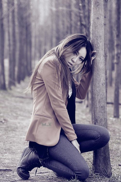 第一版主网藏经阁美艳校长小说封面